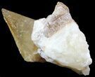 Golden Dogtooth Calcite Crystal - Morocco #50167-1
